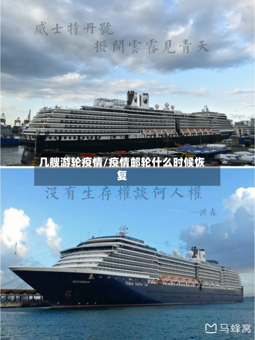 几艘游轮疫情/疫情邮轮什么时候恢复-第2张图片