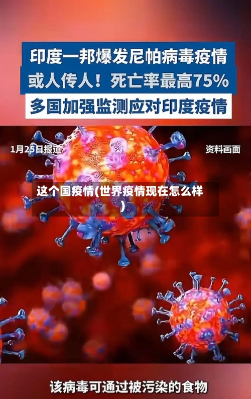 这个国疫情(世界疫情现在怎么样)