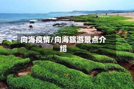 向海疫情/向海旅游景点介绍-第2张图片