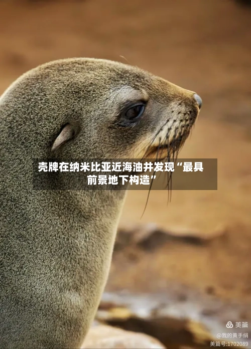 壳牌在纳米比亚近海油井发现“最具前景地下构造	”-第2张图片