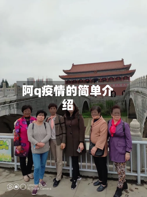 阿q疫情的简单介绍