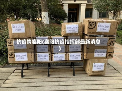 抗疫情襄阳(襄阳抗疫指挥部最新消息)-第3张图片