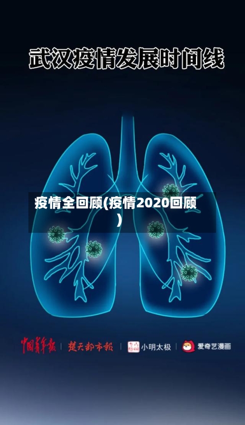 疫情全回顾(疫情2020回顾)