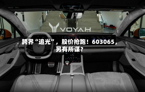 跨界“追光”，股价抢跑！603065，另有所谋？