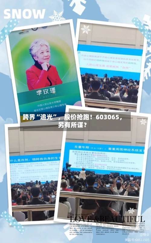 跨界“追光	”	，股价抢跑！603065，另有所谋？-第3张图片