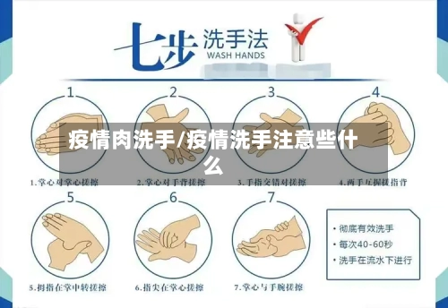 疫情肉洗手/疫情洗手注意些什么
