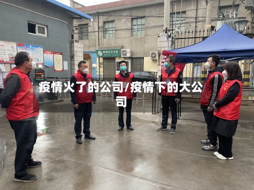 疫情火了的公司/疫情下的大公司-第2张图片