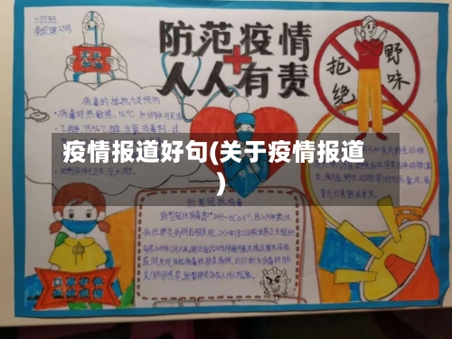 疫情报道好句(关于疫情报道)-第3张图片