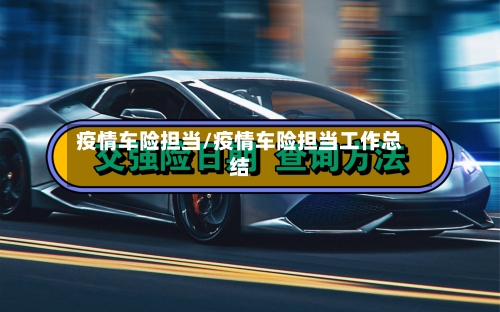 疫情车险担当/疫情车险担当工作总结
