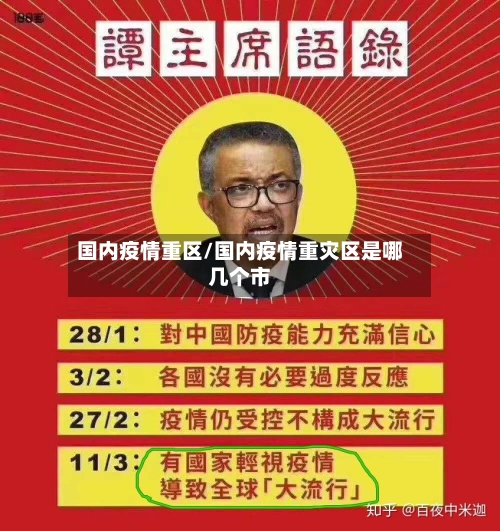 国内疫情重区/国内疫情重灾区是哪几个市
