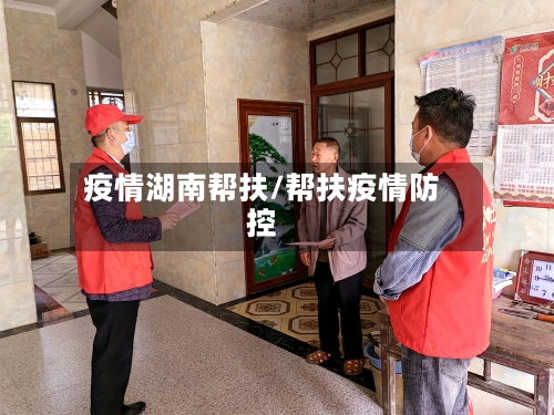 疫情湖南帮扶/帮扶疫情防控