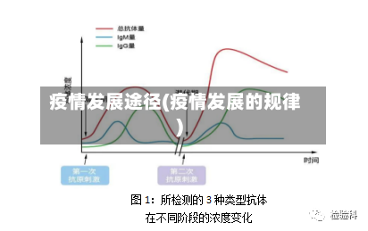 疫情发展途径(疫情发展的规律)