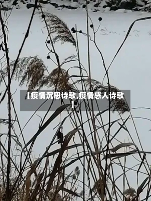 【疫情沉思诗歌,疫情感人诗歌】-第3张图片