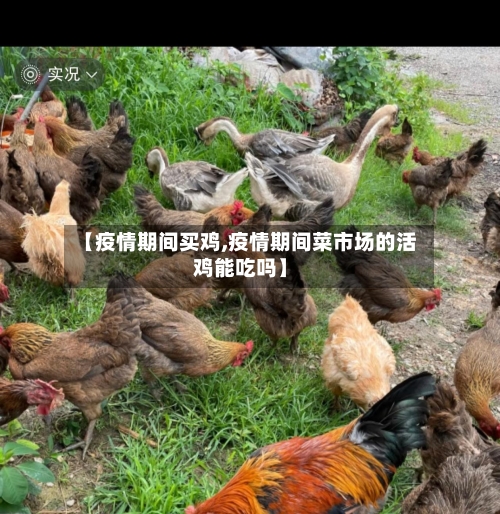 【疫情期间买鸡,疫情期间菜市场的活鸡能吃吗】