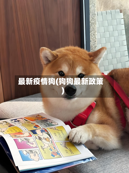 最新疫情狗(狗狗最新政策)-第2张图片