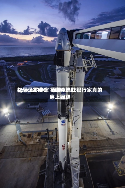SpaceX IPO“绿鞋	”选取权罕见零费率 马斯克还让银行家真的穿上绿鞋-第2张图片