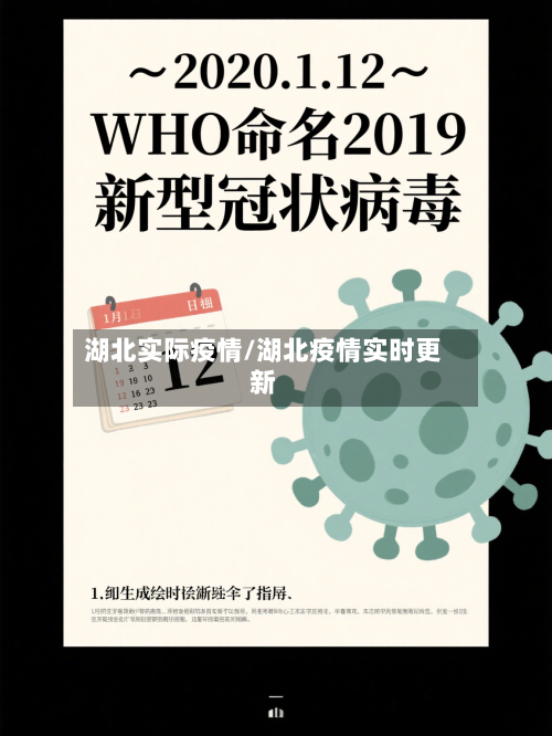 湖北实际疫情/湖北疫情实时更新