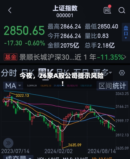 今夜，26家A股公司提示风险！-第2张图片