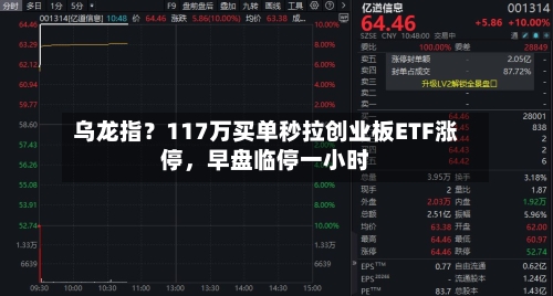 乌龙指？117万买单秒拉创业板ETF涨停，早盘临停一小时-第3张图片