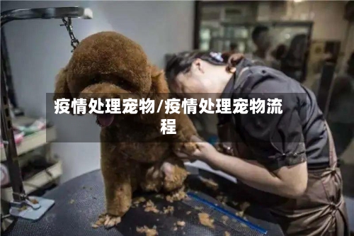 疫情处理宠物/疫情处理宠物流程