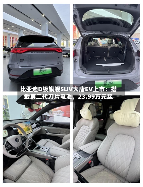 比亚迪D级旗舰SUV大唐EV上市：搭载第二代刀片电池，23.99万元起-第2张图片