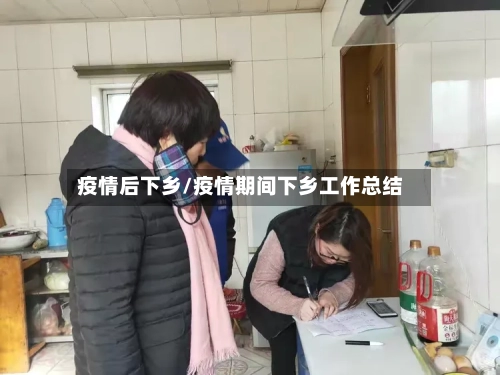 疫情后下乡/疫情期间下乡工作总结