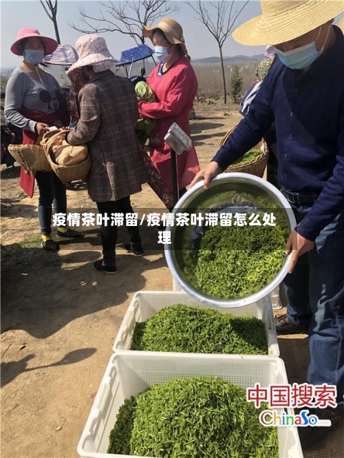疫情茶叶滞留/疫情茶叶滞留怎么处理