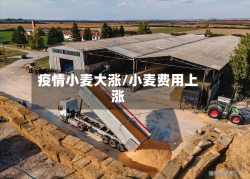 疫情小麦大涨/小麦费用上涨-第2张图片