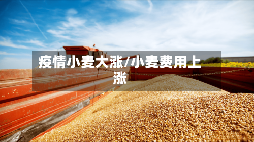 疫情小麦大涨/小麦费用上涨-第3张图片