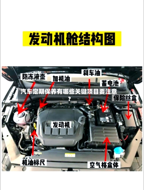 汽车定期保养有哪些关键项目要注意？