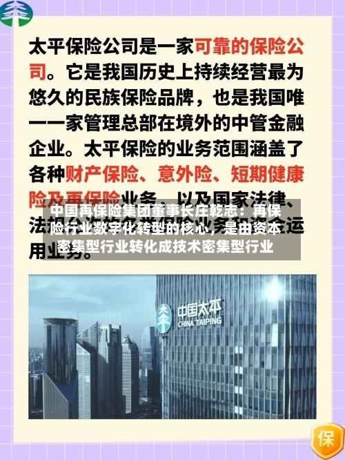 中国再保险集团董事长庄乾志：再保险行业数字化转型的核心，是由资本密集型行业转化成技术密集型行业-第3张图片