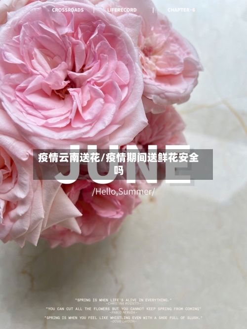 疫情云南送花/疫情期间送鲜花安全吗