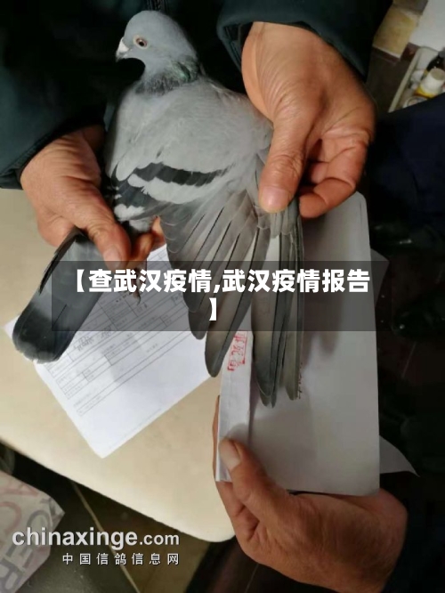 【查武汉疫情,武汉疫情报告】-第2张图片