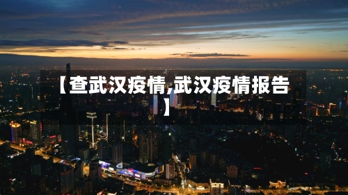 【查武汉疫情,武汉疫情报告】