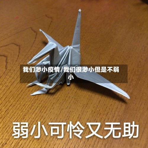 我们渺小疫情/我们很渺小但是不弱小