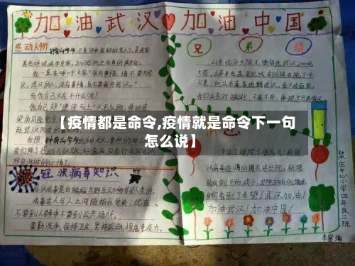 【疫情都是命令,疫情就是命令下一句怎么说】