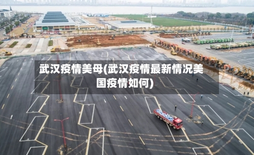 武汉疫情美母(武汉疫情最新情况美国疫情如何)-第2张图片