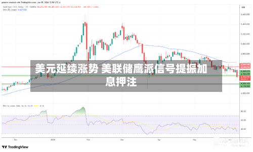 美元延续涨势 美联储鹰派信号提振加息押注-第3张图片