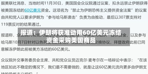 报道:伊朗将获准动用60亿美元冻结资金采购美国商品-第2张图片