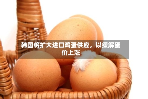 韩国将扩大进口鸡蛋供应，以缓解蛋价上涨