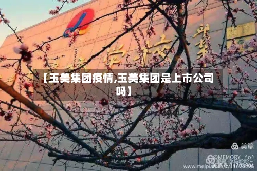 【玉美集团疫情,玉美集团是上市公司吗】-第2张图片