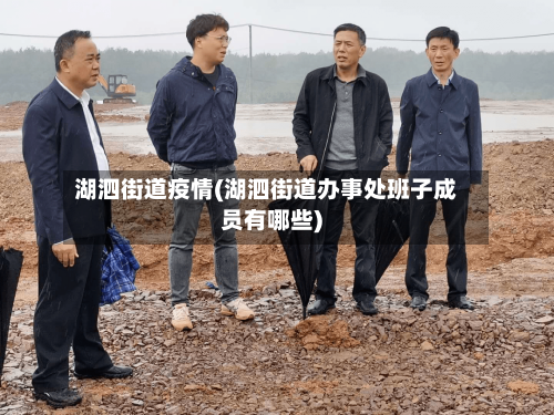 湖泗街道疫情(湖泗街道办事处班子成员有哪些)