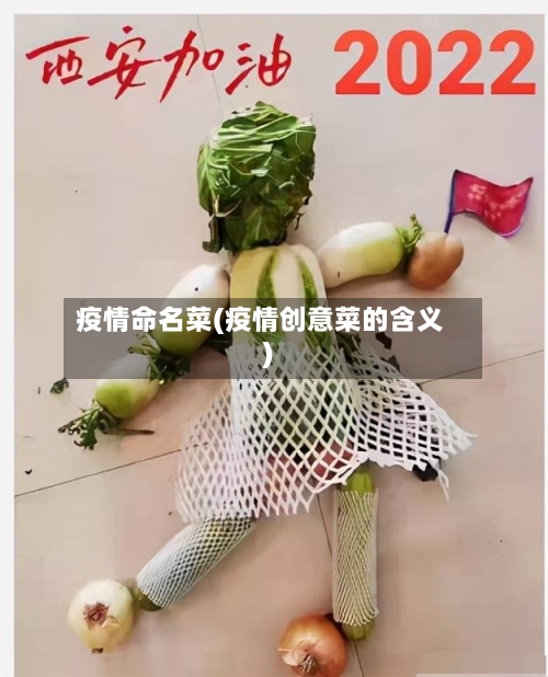 疫情命名菜(疫情创意菜的含义)