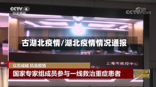 古湖北疫情/湖北疫情情况通报