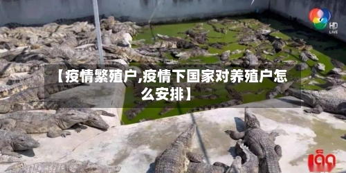 【疫情繁殖户,疫情下国家对养殖户怎么安排】-第3张图片