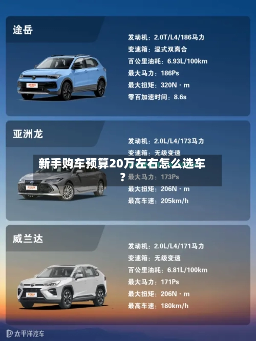 新手购车预算20万左右怎么选车？-第3张图片