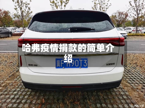 哈弗疫情捐款的简单介绍-第2张图片