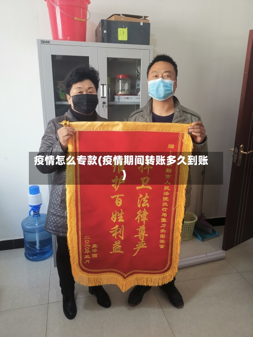 疫情怎么专款(疫情期间转账多久到账)-第3张图片