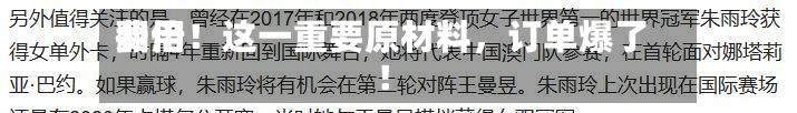 费用翻倍！这一重要原材料，订单爆了！-第3张图片