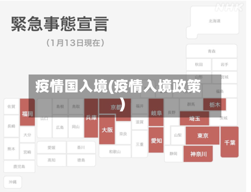 疫情国入境(疫情入境政策)